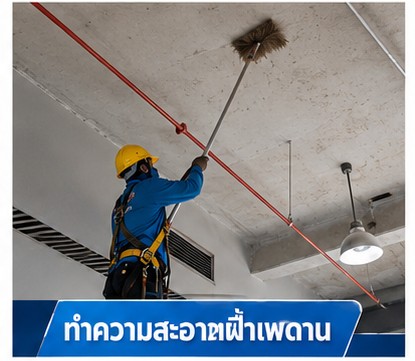 รับเคลียร์พื้นที่รกร้าง
